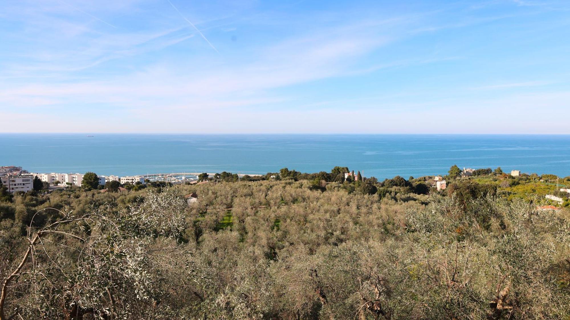 I Frangiventi Bed & Breakfast Rodi Garganico Exterior foto