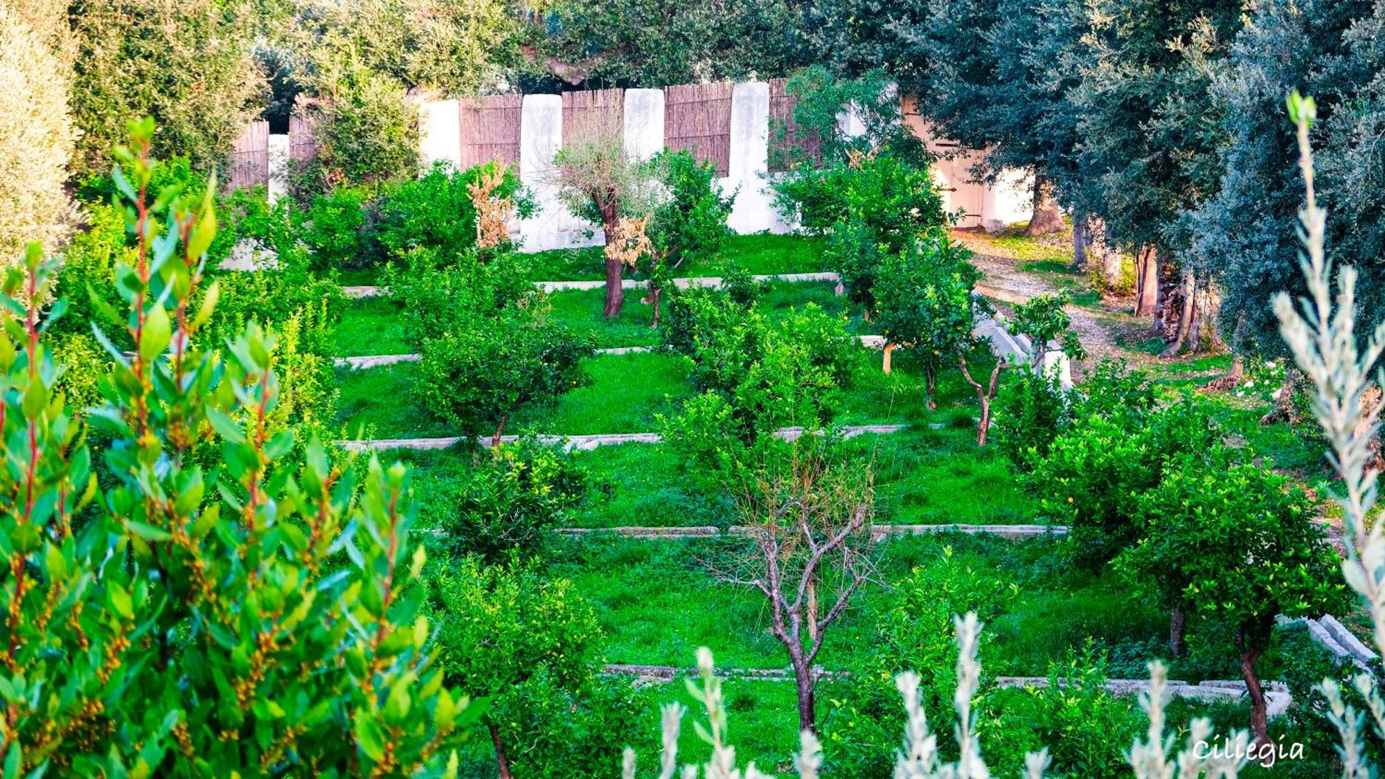 I Frangiventi Bed & Breakfast Rodi Garganico Exterior foto